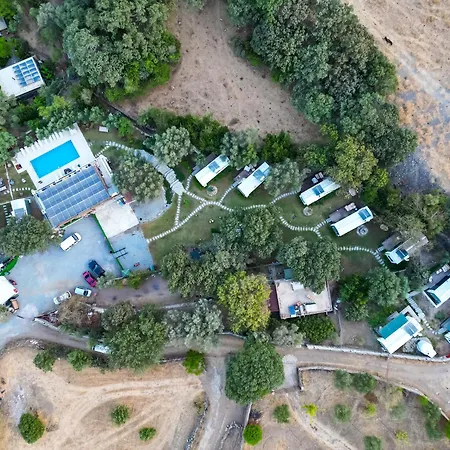 Alya Hill * Bodrum