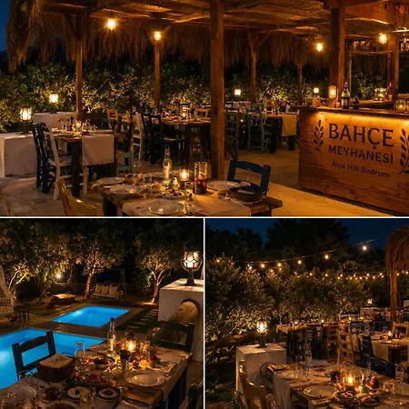Alya Hill Hotel